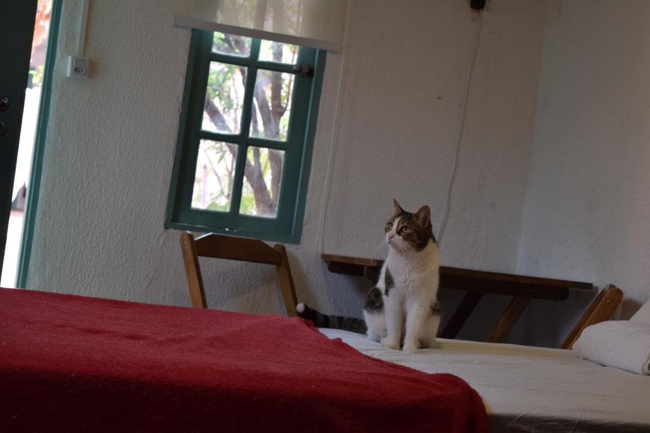 Hobi Hostel São Paulo Eksteriør bilde